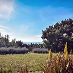 Drolma Ling Nature منتزه العطل *