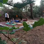 منتزه العطل Drolma Ling Nature