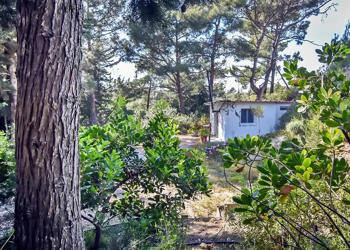 Kompleks wypoczynkowy Drolma Ling Nature
