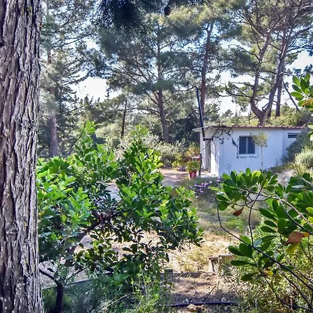 Kompleks wypoczynkowy Drolma Ling Nature