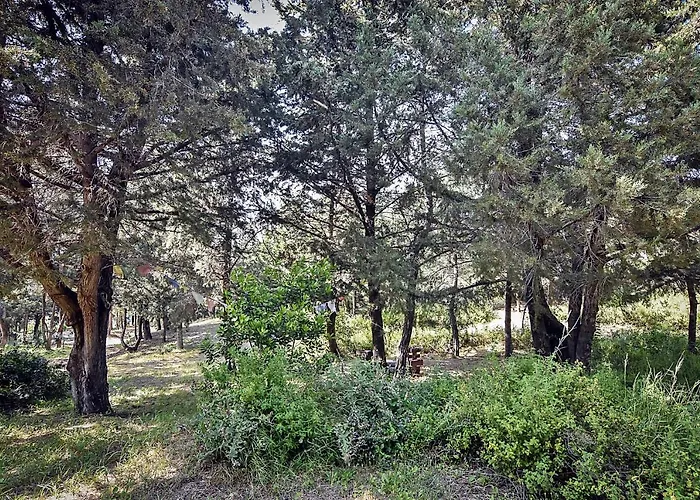 Drolma Ling Nature Theológos