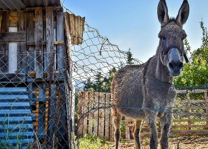 Drolma Ling Nature Kompleks wypoczynkowy