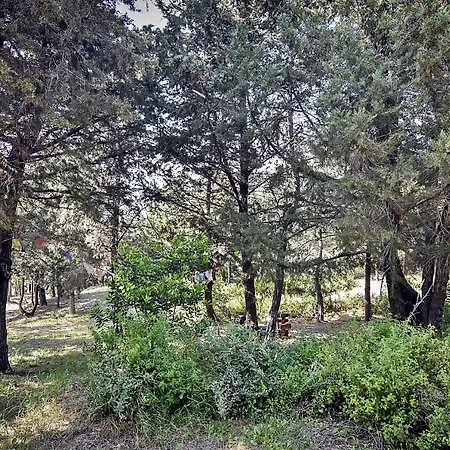 Drolma Ling Nature Theológos