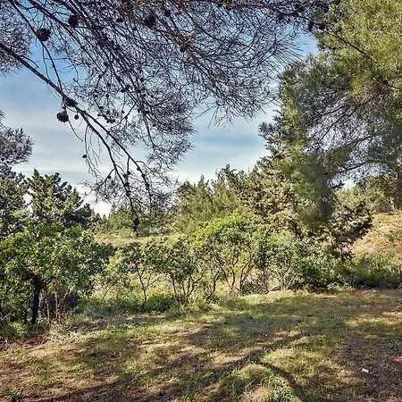 Πάρκο διακοπών Drolma Ling Nature Θεολόγος