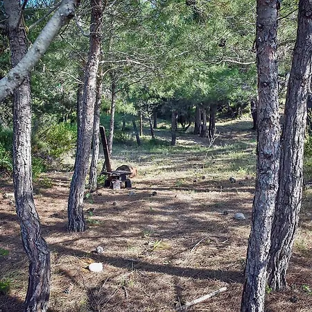 Drolma Ling Nature Parc de vacanță *