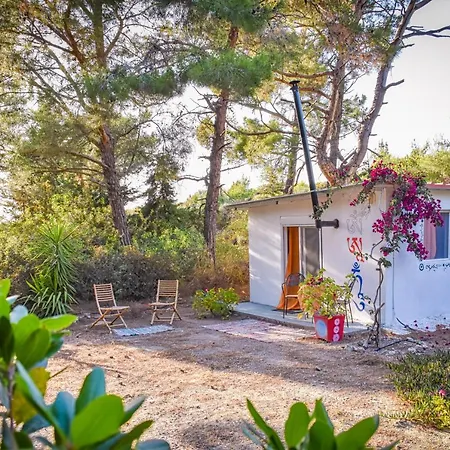 Drolma Ling Nature Θεολόγος