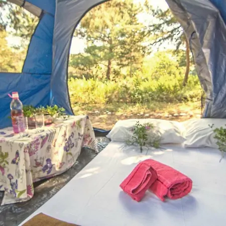 Drolma Ling Nature *