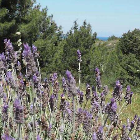 Parque de vacaciones Drolma Ling Nature Theológos