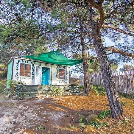 Drolma Ling Nature Θεολόγος