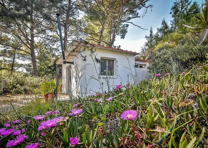 Vakantiepark Drolma Ling Nature Theológos