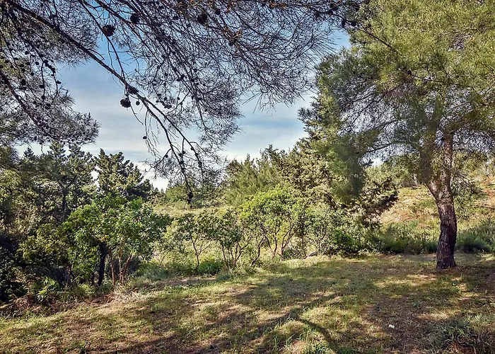 Vakantiepark Drolma Ling Nature Theológos