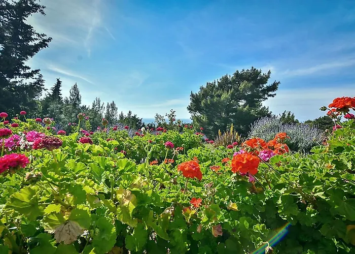 Vakantiepark Drolma Ling Nature