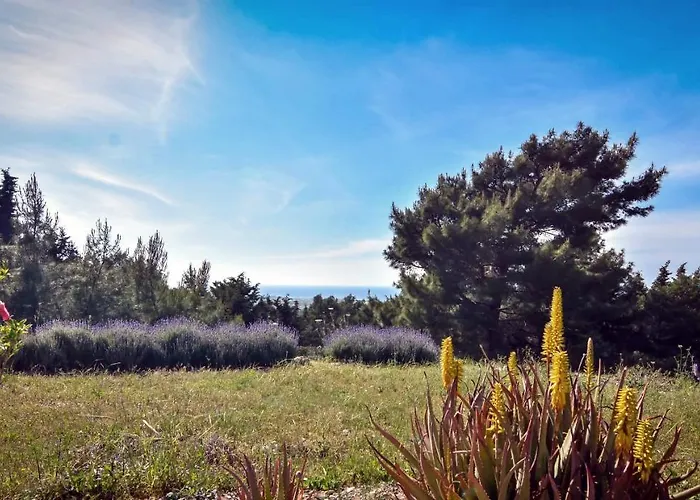 Drolma Ling Nature Vakantiepark *