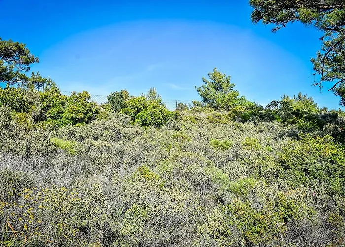 Vakantiepark Drolma Ling Nature *