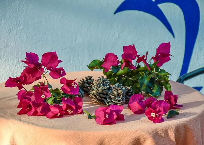 Vakantiepark Drolma Ling Nature Theológos