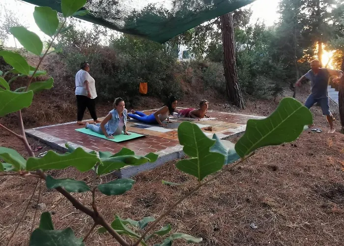 Vakantiepark Drolma Ling Nature