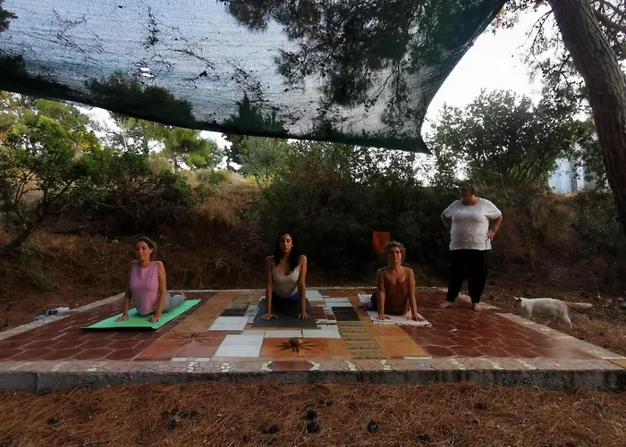 Vakantiepark Drolma Ling Nature