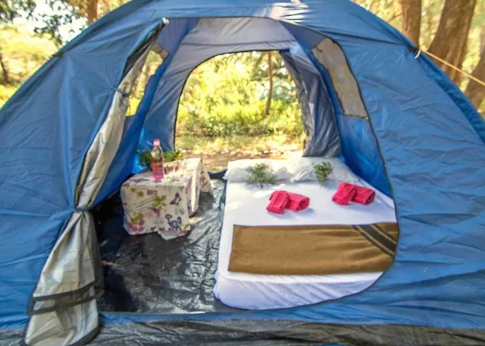 Vakantiepark Drolma Ling Nature