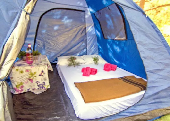 Vakantiepark Drolma Ling Nature