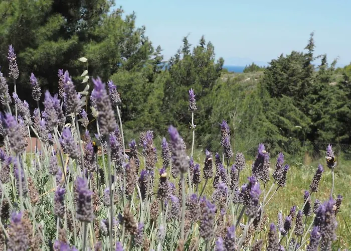 Vakantiepark Drolma Ling Nature Theológos