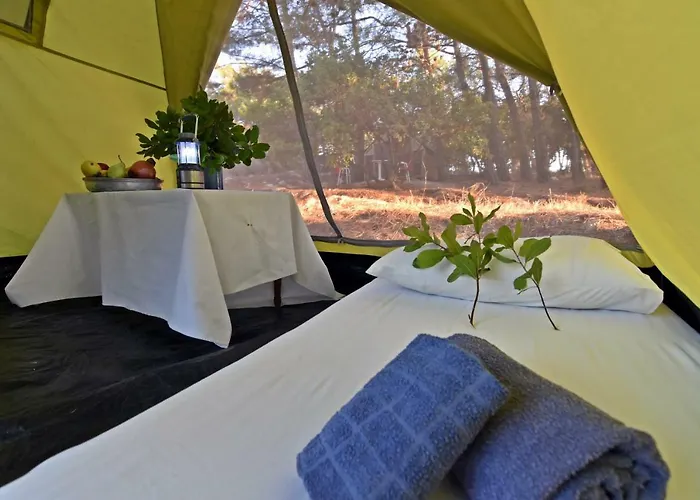 Drolma Ling Nature Vakantiepark Theológos