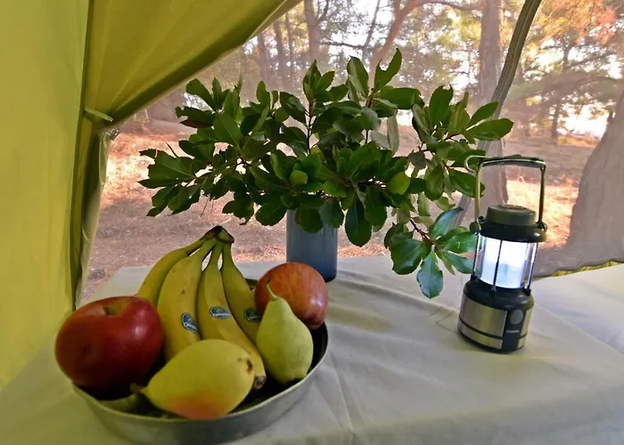 Kompleks wypoczynkowy Drolma Ling Nature Theológos