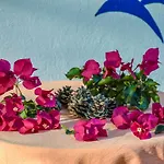 База отдыха Drolma Ling Nature Теологос