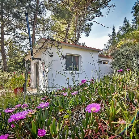 Holiday park Drolma Ling Nature Theologos (Rhodes)