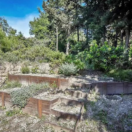 Drolma Ling Nature *