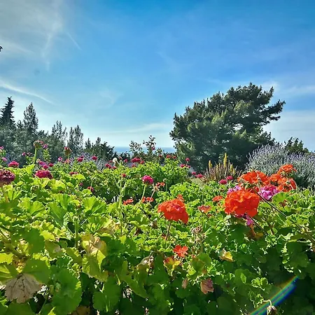 Holiday park Drolma Ling Nature