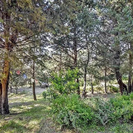 Holiday park Drolma Ling Nature Theologos (Rhodes)