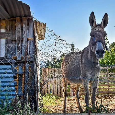 Drolma Ling Nature ホリデーパーク