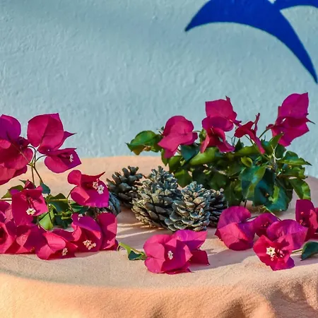 ホリデーパーク Drolma Ling Nature Theológos