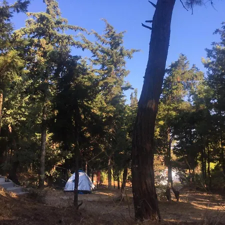 Drolma Ling Nature * Theológos