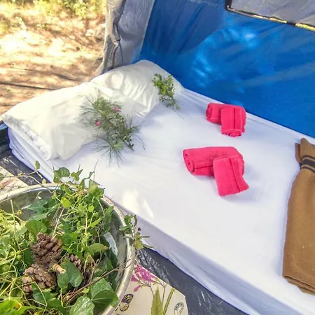 ホリデーパーク Drolma Ling Nature