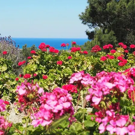 Drolma Ling Nature * Theologos (Rhodes)