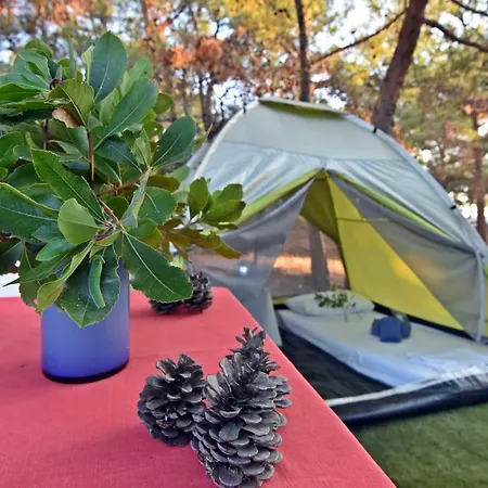 Drolma Ling Nature Holiday park Theologos (Rhodes)
