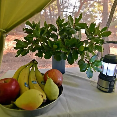 ホリデーパーク Drolma Ling Nature Theológos