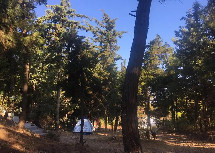 Drolma Ling Nature * Theológos