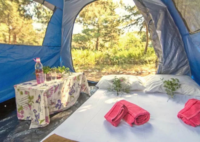 Drolma Ling Nature *