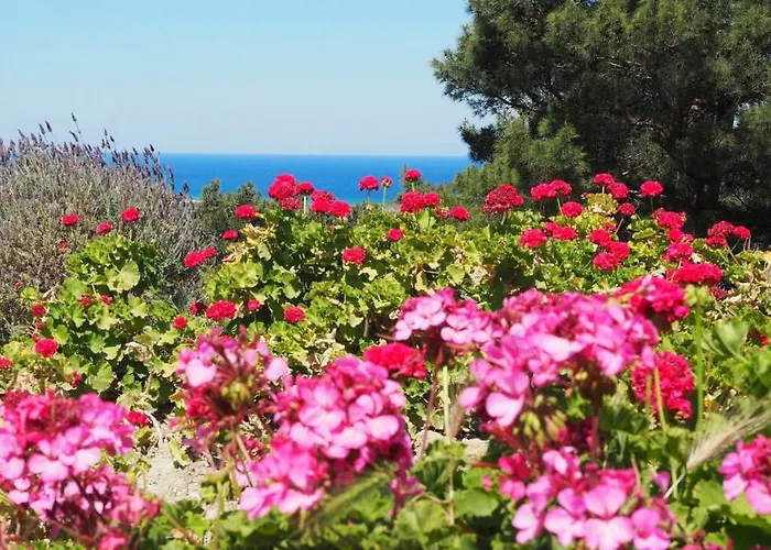 Drolma Ling Nature * Theológos